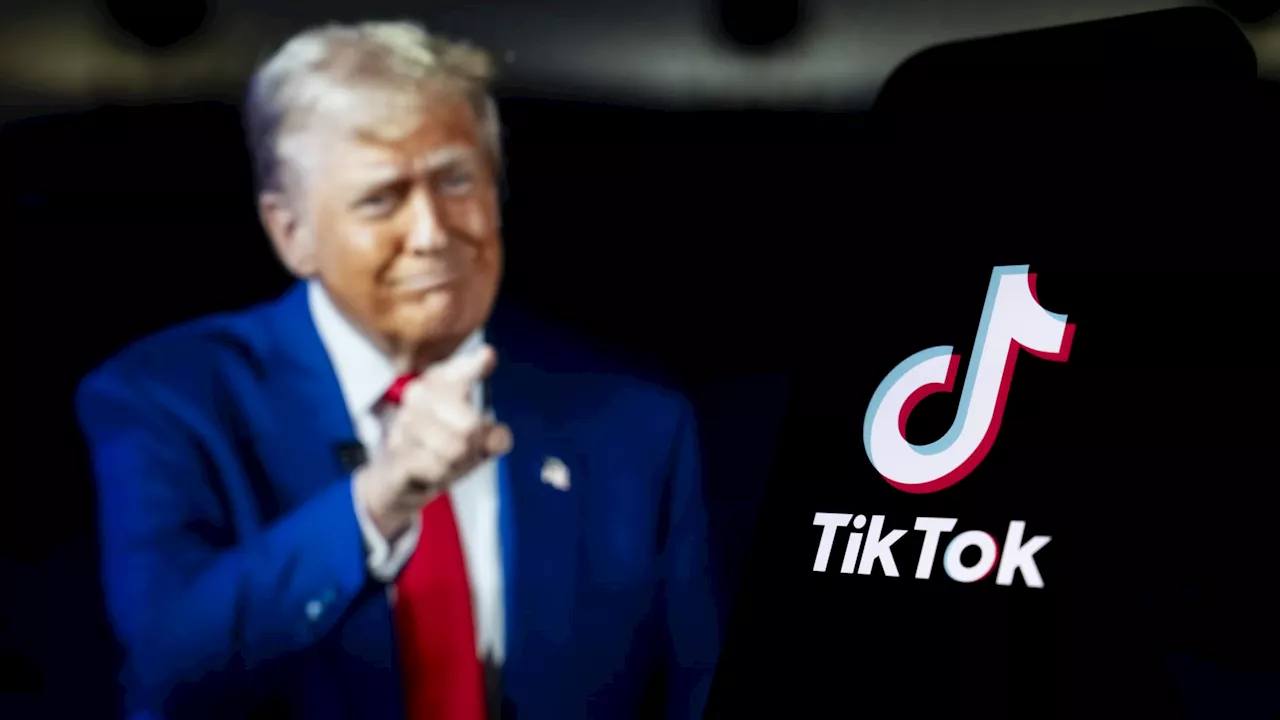 TikTok Recovers Traffic After US Ban Threat, Creators Diversify