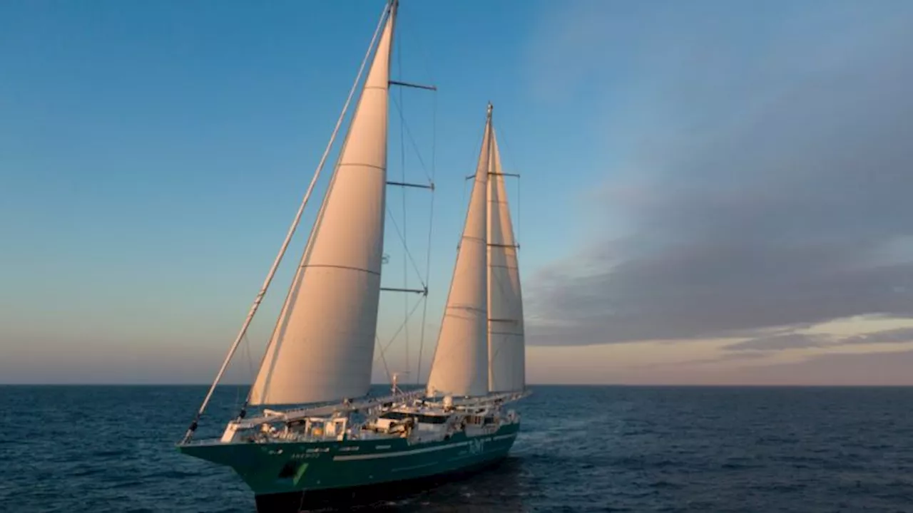 World's Largest Sailing Cargo Ship Docks in New York