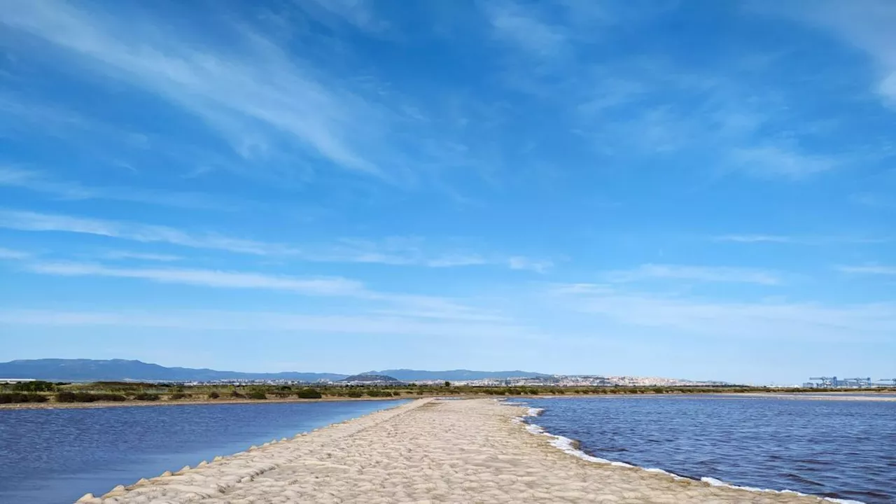 Dalla laguna del Mort a Santa Gilla: 60 zone umide da conoscere (e tutelare)