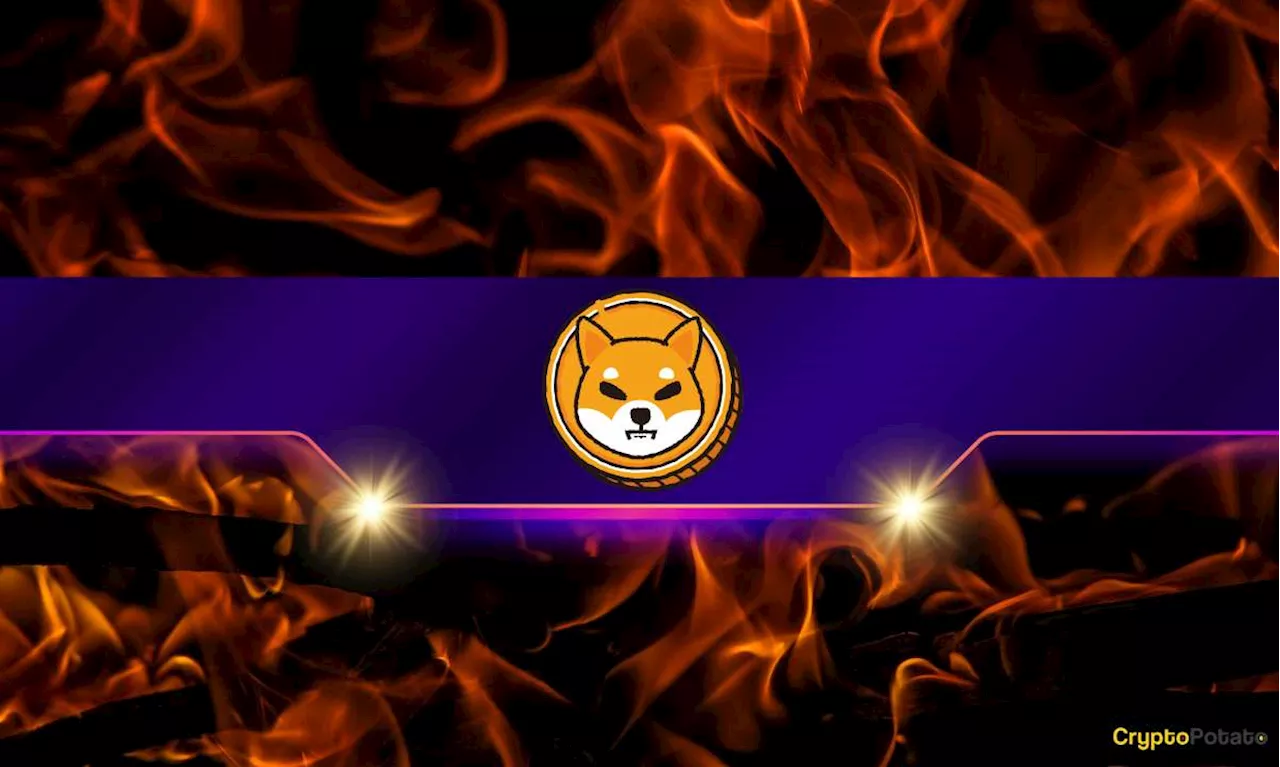 Shiba Inu Burns Over 1 Billion Tokens, Dogecoin Eyes Epic Rally