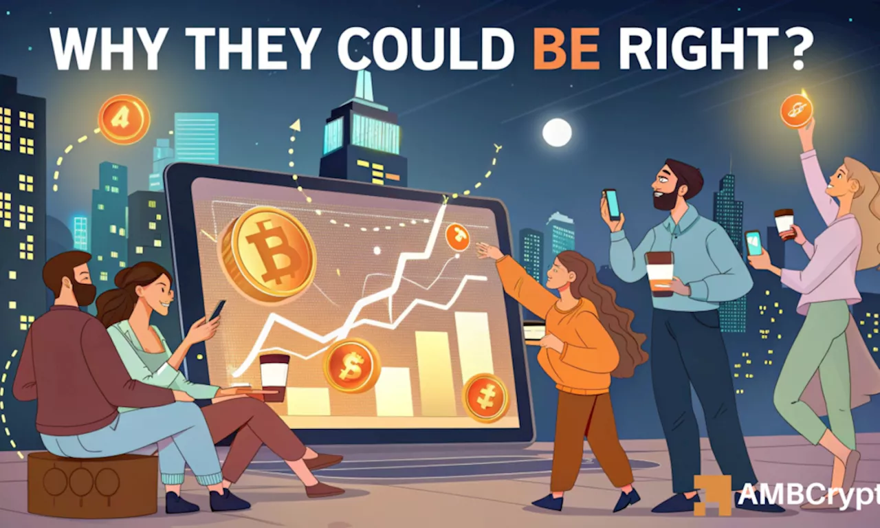 Bitcoin retail investors taking excessive risk – Why they could be right?