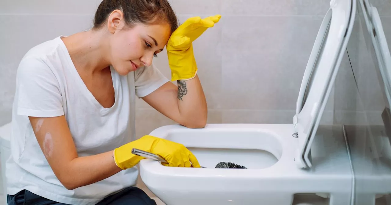 Don't clean your toilet with this social media hack, warns plumber