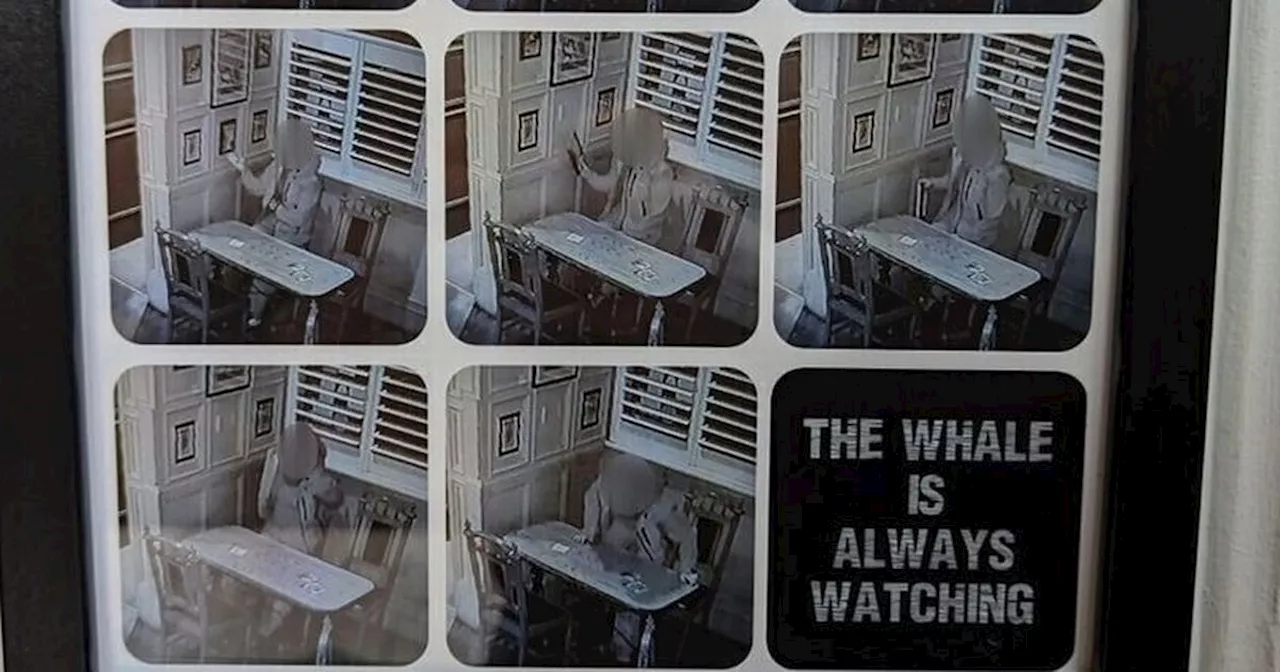 Scots Pub Hilariously Shaming Thief With CCTV Frame