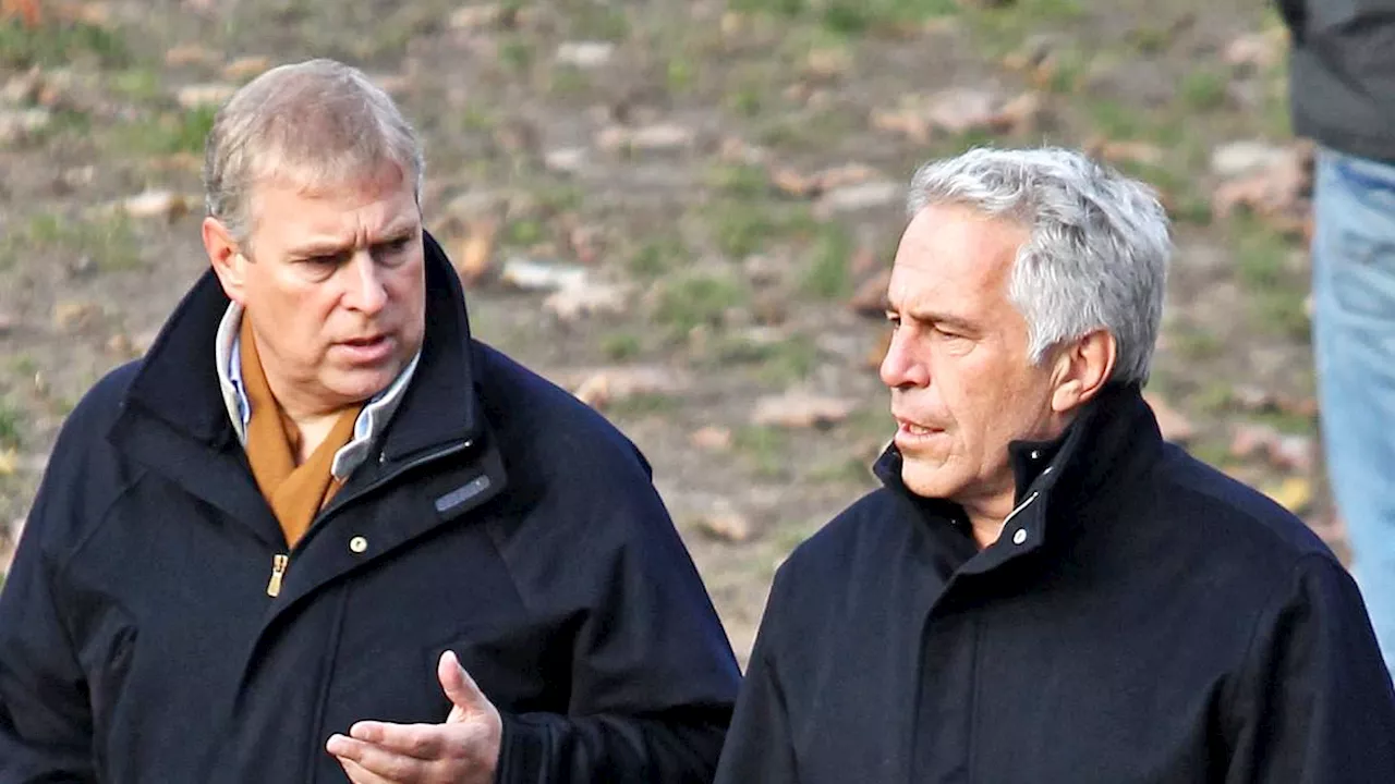 Prince Andrew told paedophile financier Jeffrey Epstein they would 'play more soon' two months after...