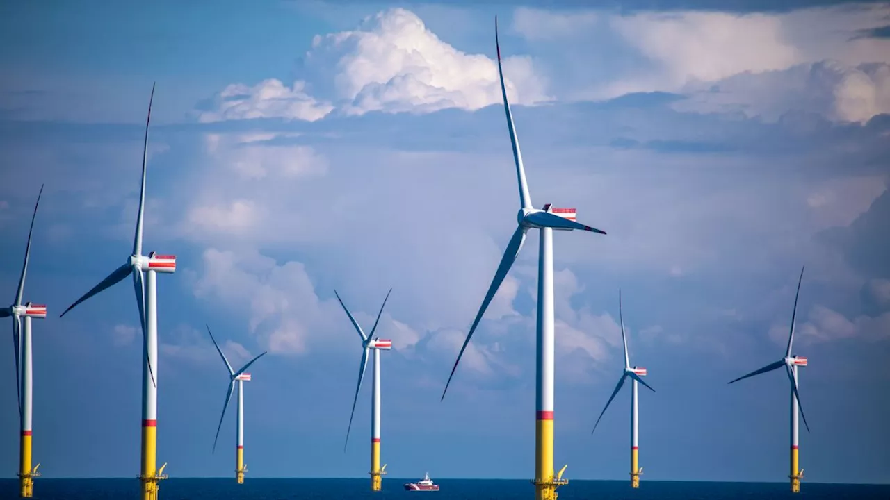 Windkraftflaute: Dänemark pausiert Energieinselpläne in der Ostsee