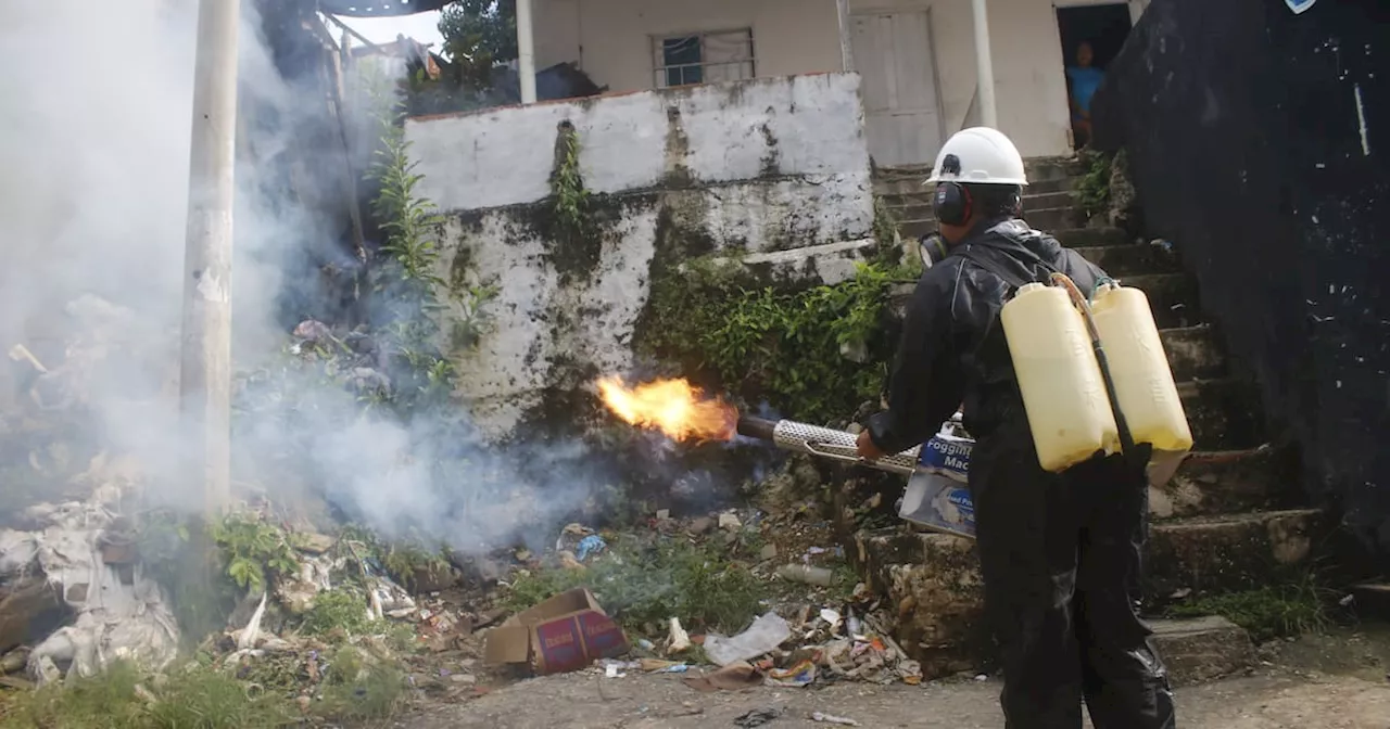 Cartagena arrancó el 2025 con más de 1.700 casos de dengue