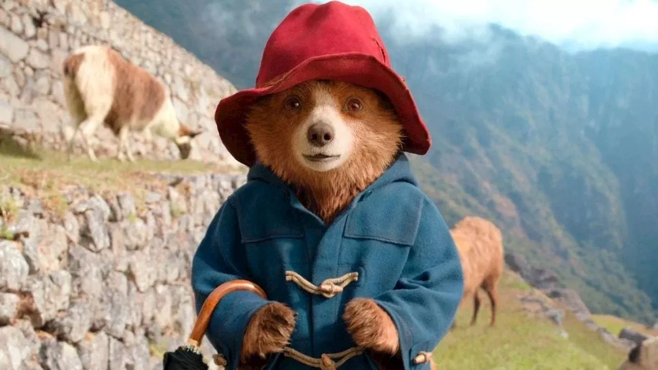 Paddington 3 startet stark in den deutschen Kinos