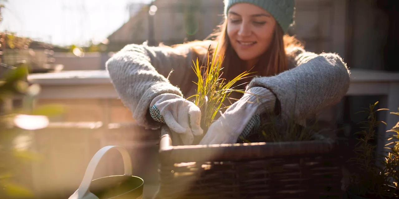 Frühzeitige Gartenvorbereitung: Das sollten Sie jetzt schon tun