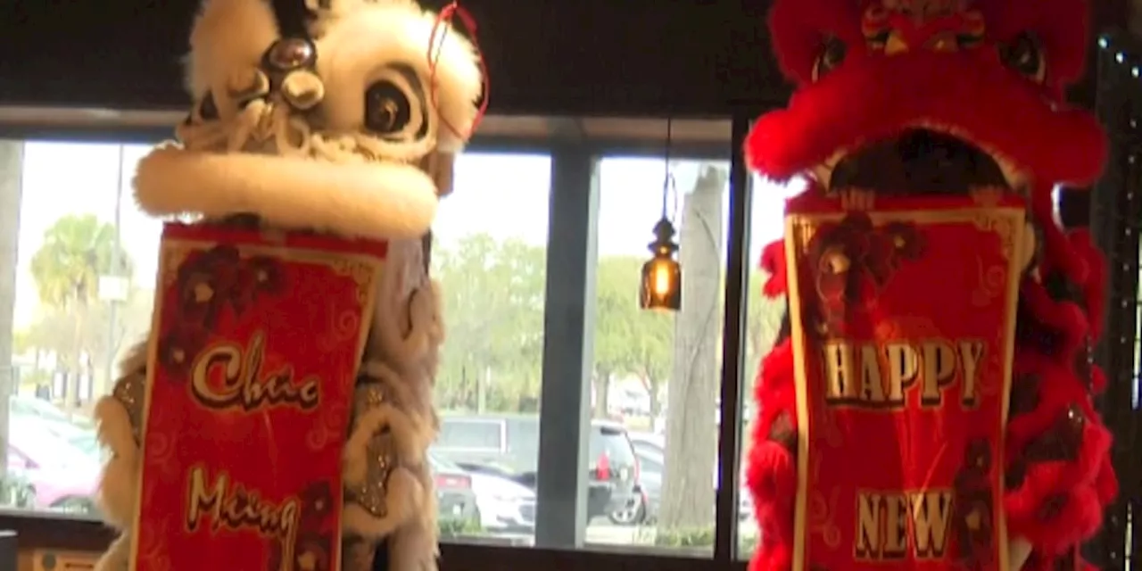 Lion Dance Celebrates Lunar New Year at Tao Hotpot