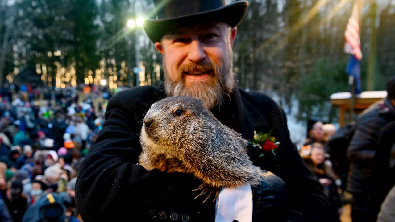 Staten Island Chuck: The Most Accurate Groundhog in America