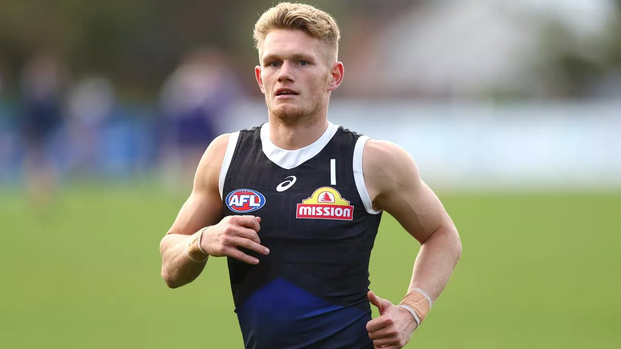 Western Bulldogs Star Adam Treloar Suffers Calf Strain, Faces Two-Month Rehab