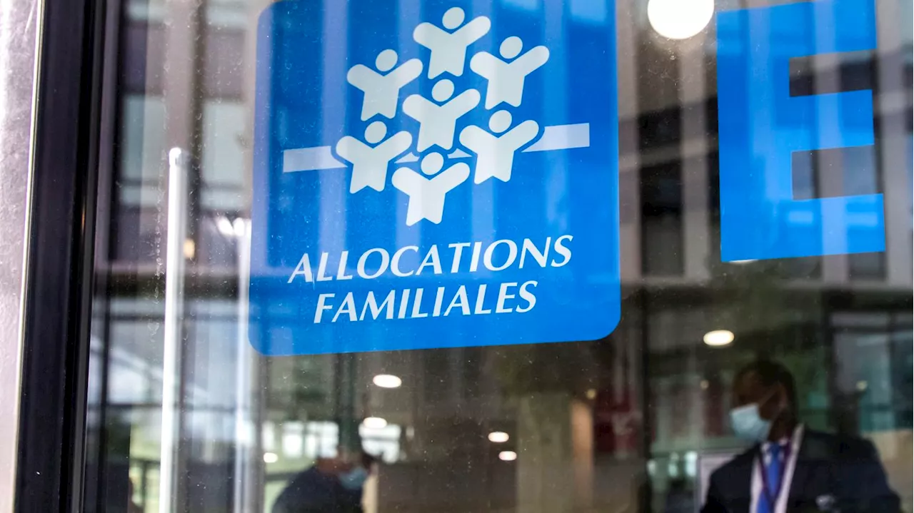 Lutte contre les retards et impayés de pensions alimentaires : l'ARIPA à la rescousse