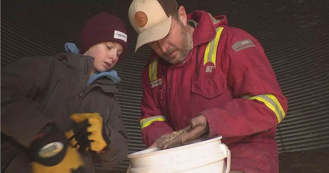 Canadian Farmers Brace for Impact of U.S. Tariffs