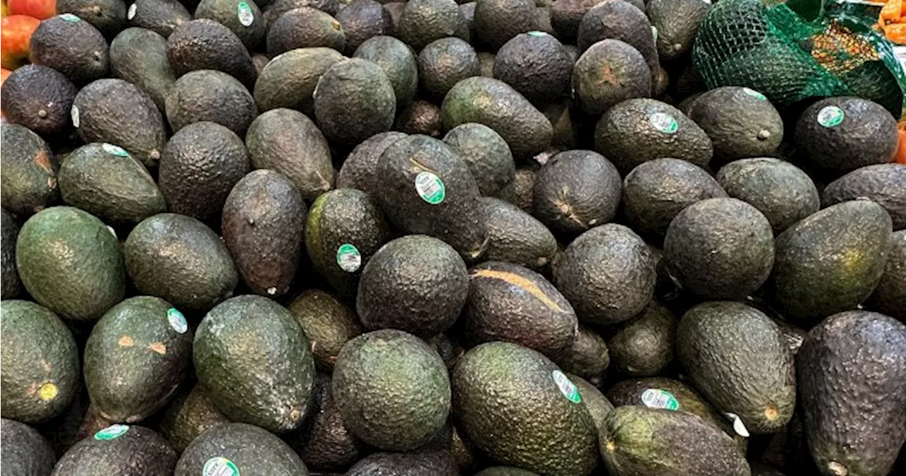 From avocados to gasoline, why Trump’s tariffs could raise prices for Americans