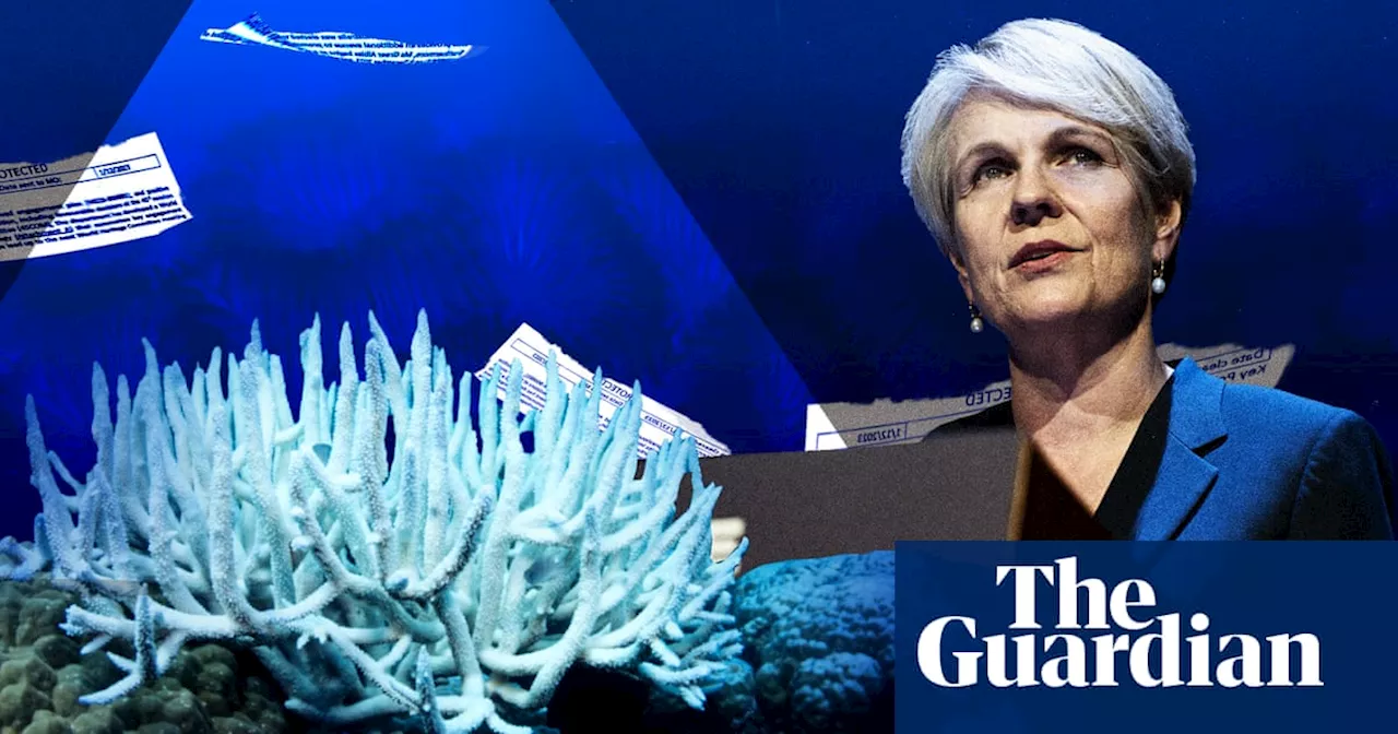 Australia Employed Campaign to Keep Great Barrier Reef Off 'In Danger' List