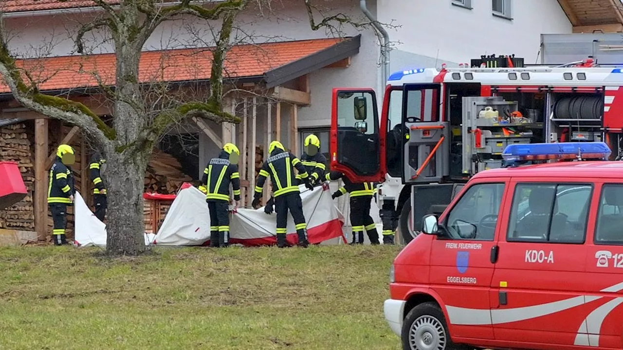  Frau fand ihn: Landwirt stirbt nach Sturz in Güllegrube