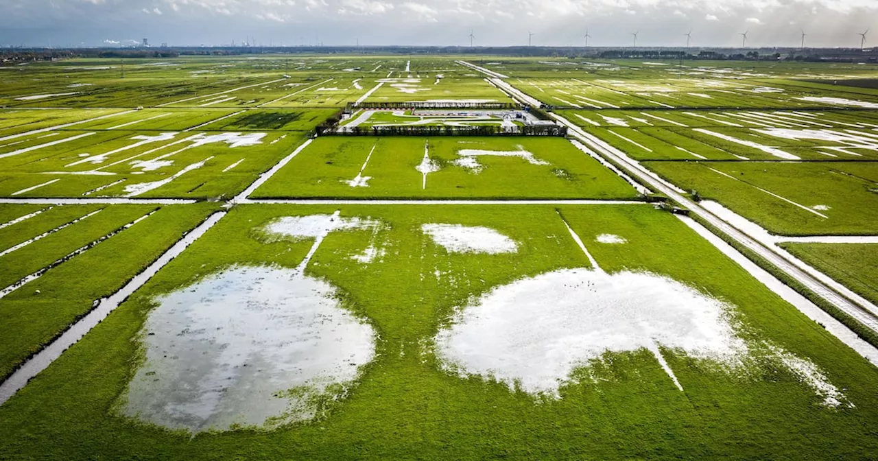 Temperatures in the Netherlands rising twice as fast as global average