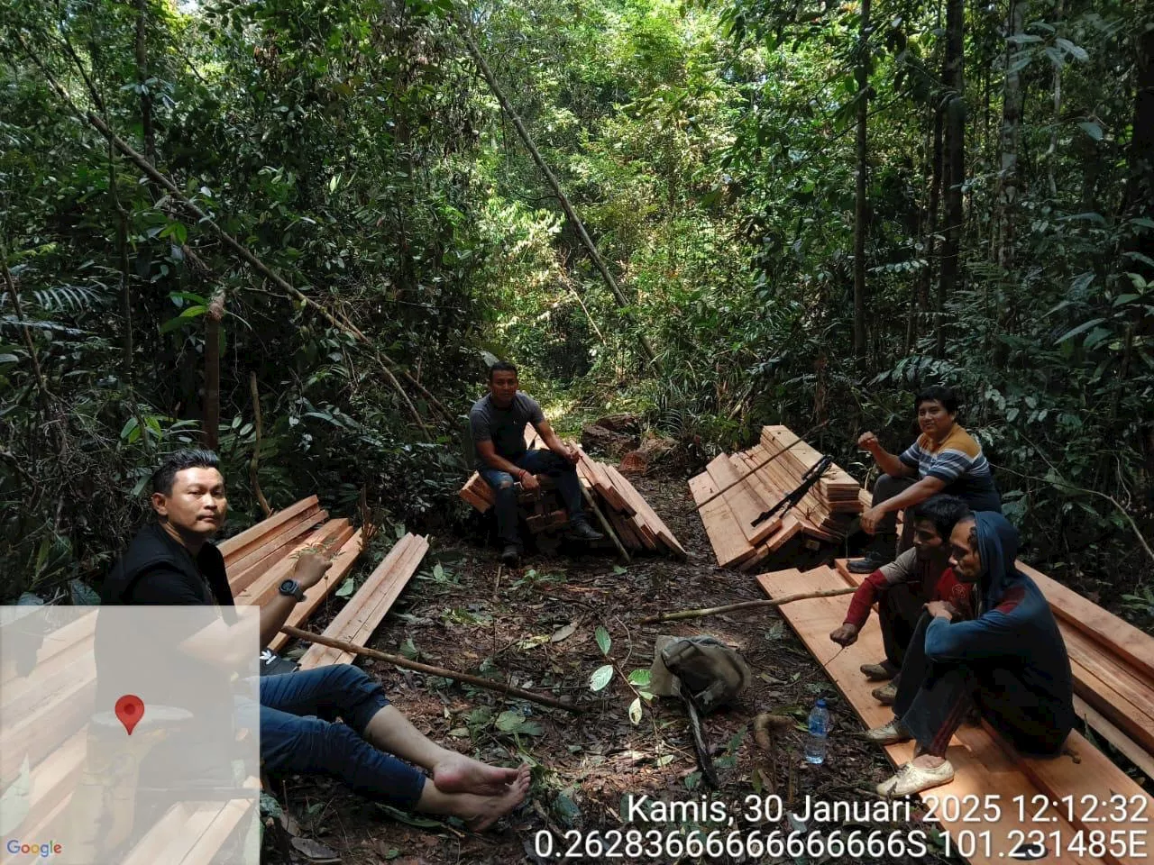 Polisi Ungkap Kasus Illegal Logging di Hutan Suaka Margasatwa Rimbang Baling