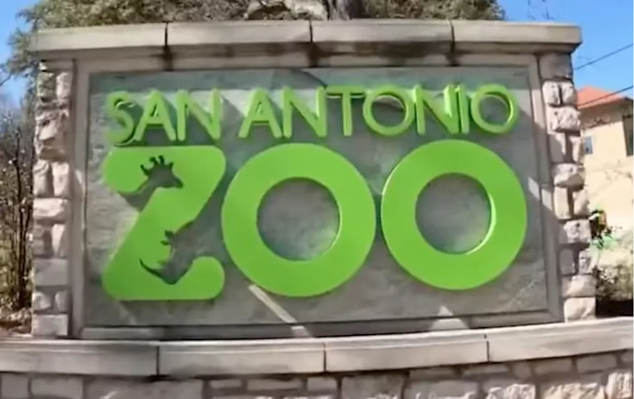 San Antonio Zoo to celebrate members all month long in February