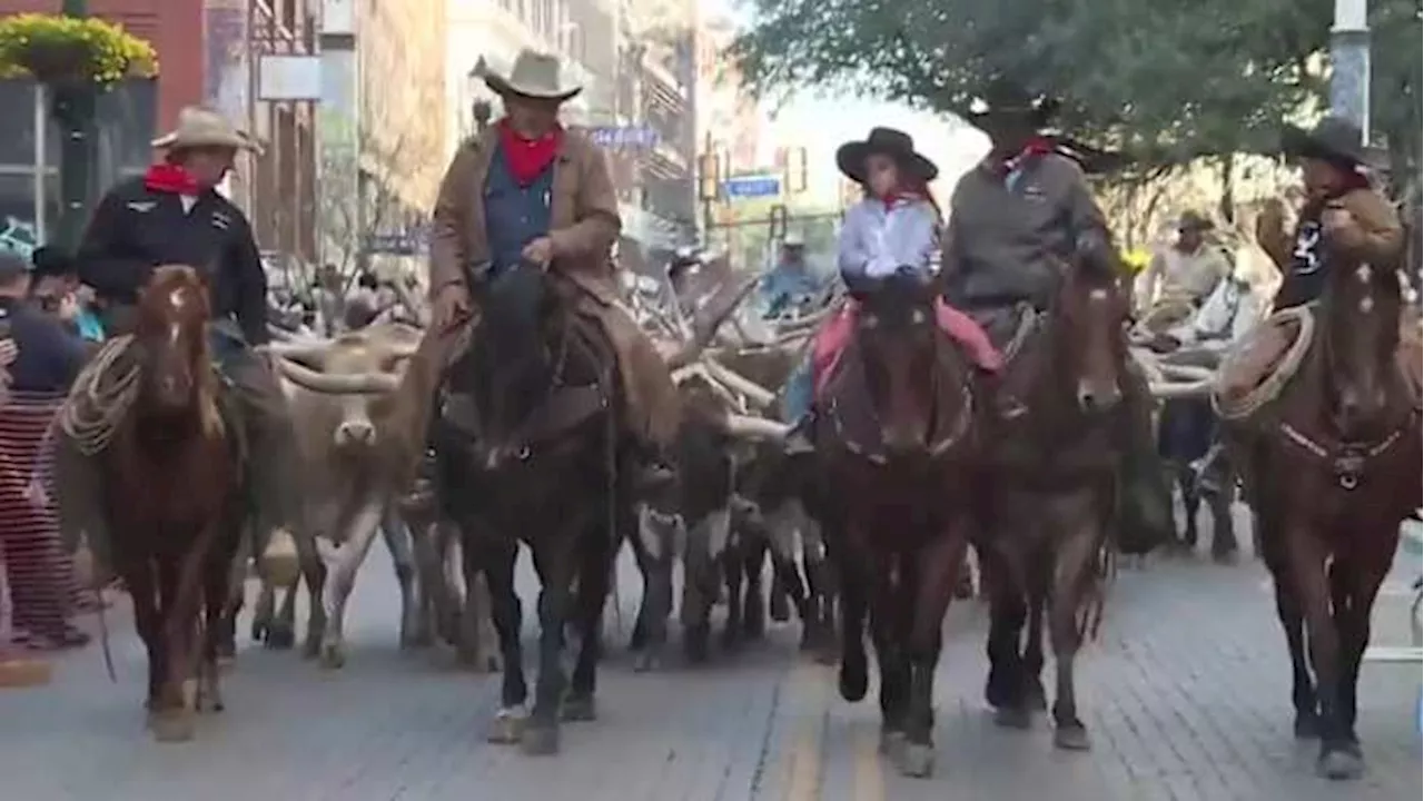 🤠 Things to do in San Antonio this weekend: Western Heritage Weekend, Pearl Lunar Year event, Latin Mafia