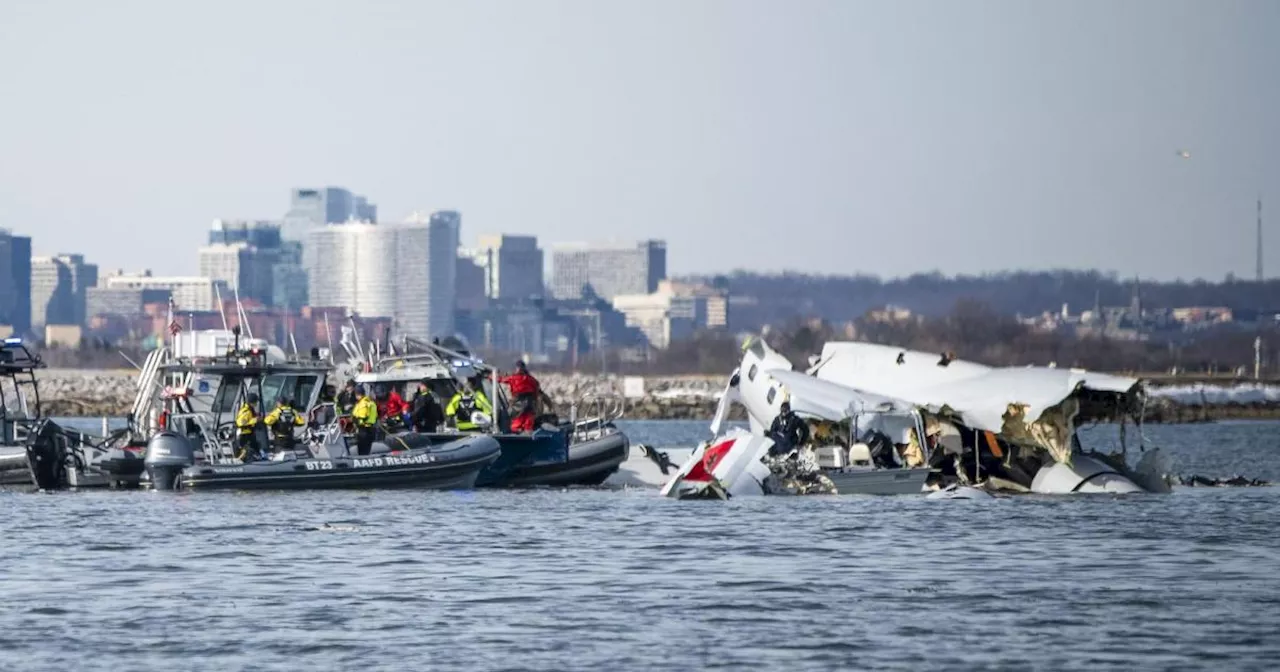 Flugzeugunglück in Washington: Trump macht schnell Schuldige aus