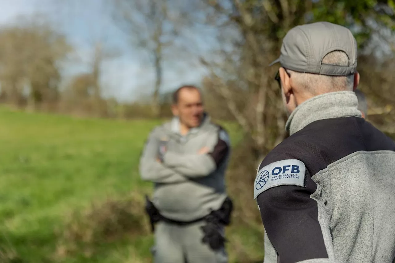 Office français de la biodiversité : moins d’un contrôle sur mille est source de tensions