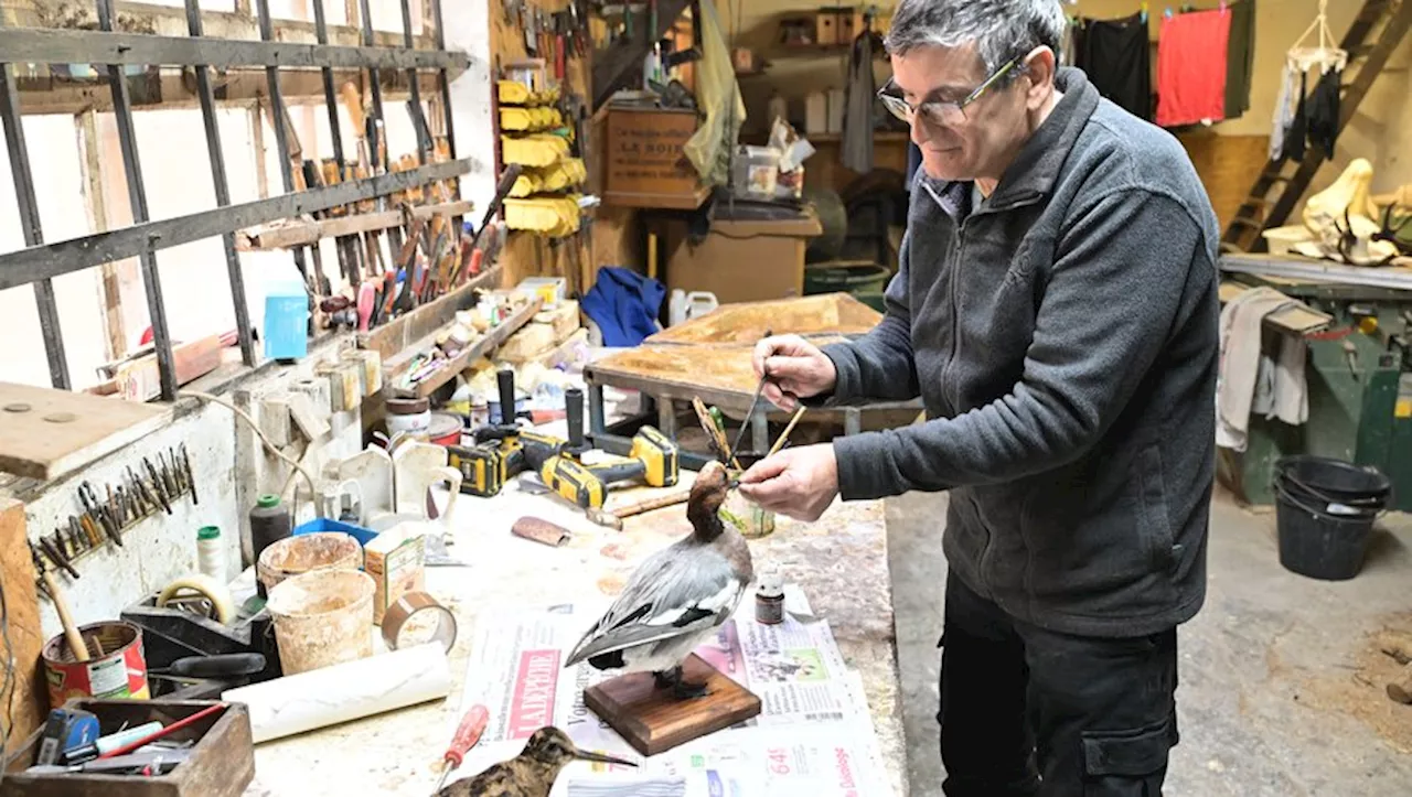 L'Atelier du Taxidermiste en Déclin: Dominique Giacomazzi, Un Amour des Animaux en Perte