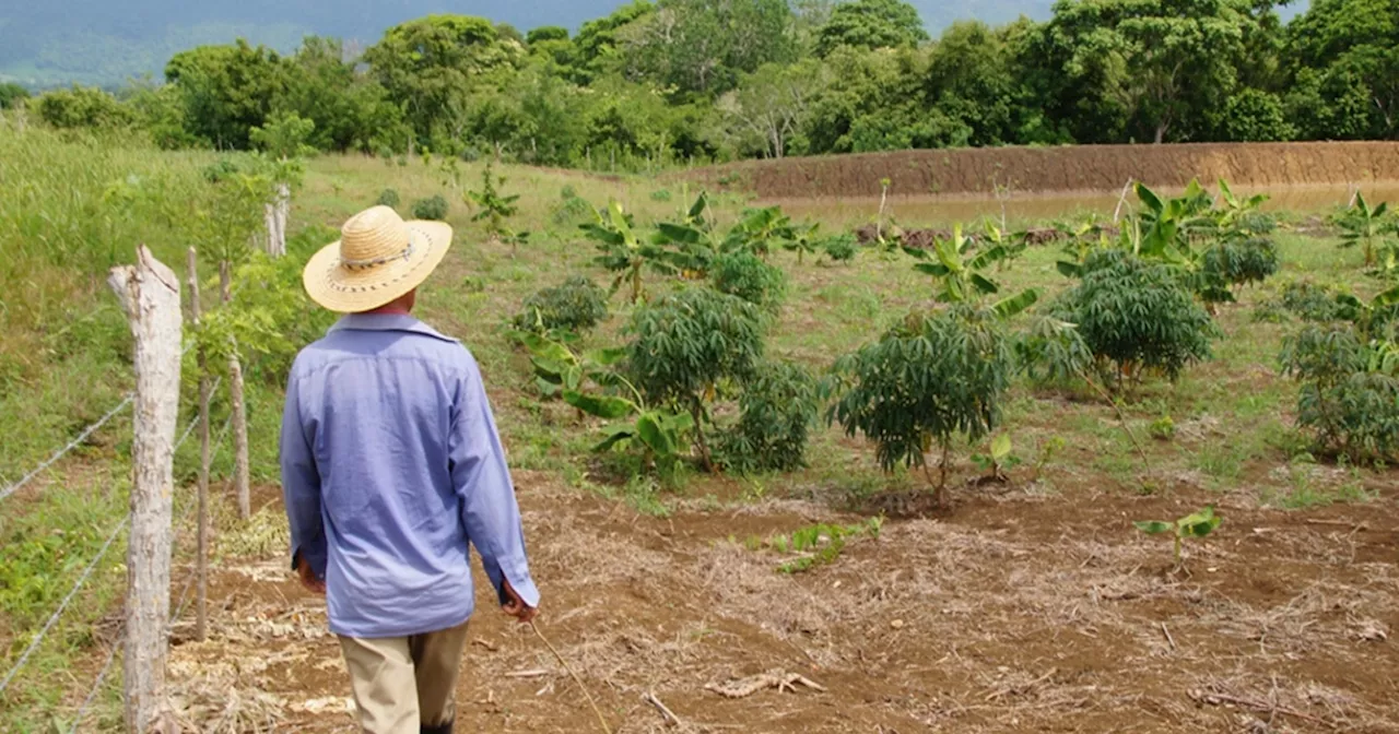 Expropiación en Catatumbo: Solicitan anular decfreto