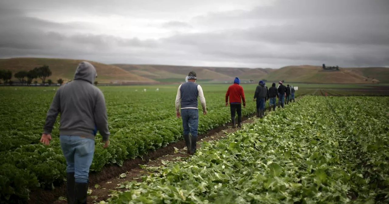 Grève inédite à l'OFB face aux tensions avec le monde agricole et politique