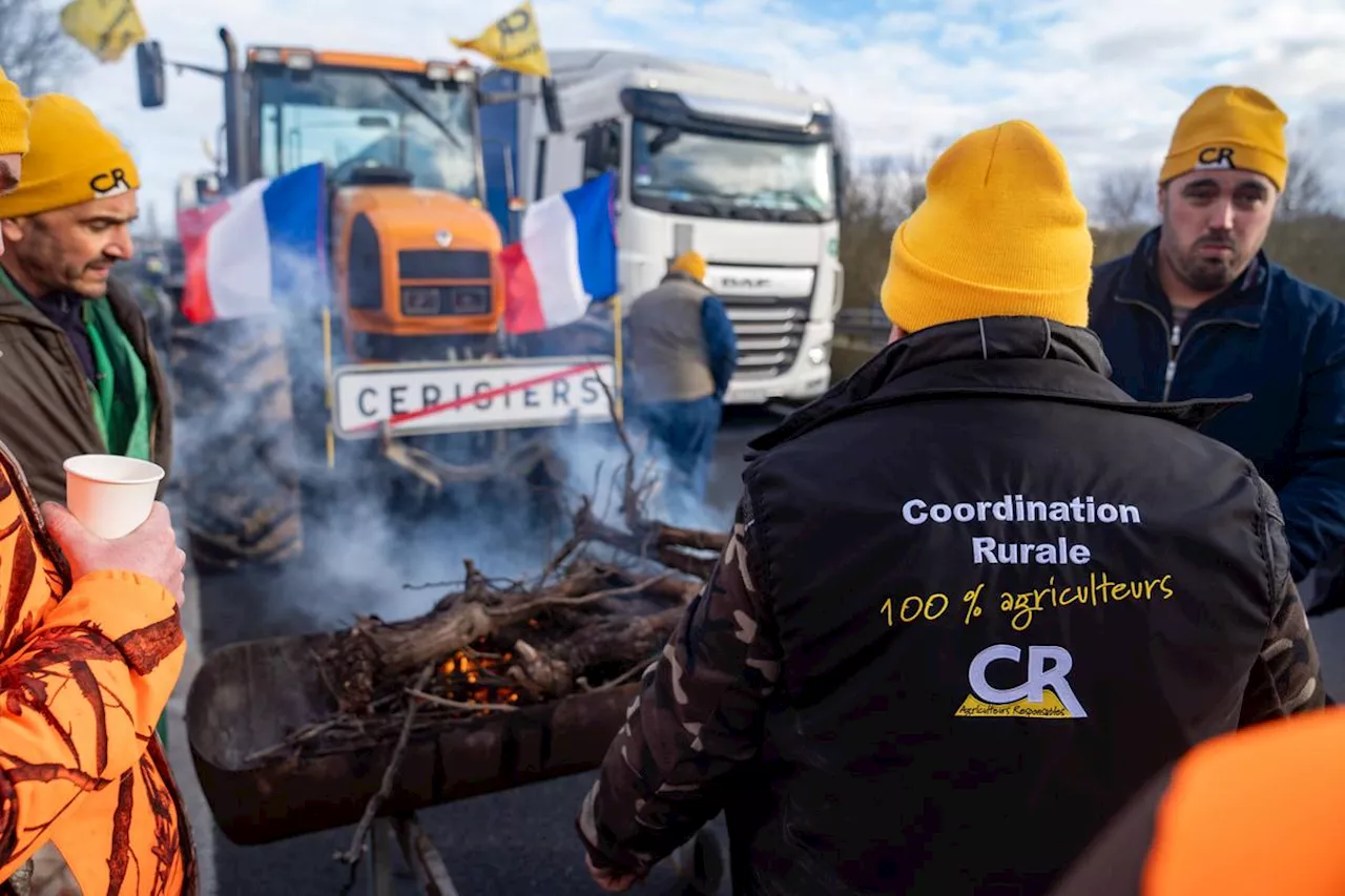 Jordan Bardella s'adresse aux agriculteurs : le Rassemblement National à la conquête des campagnes ?