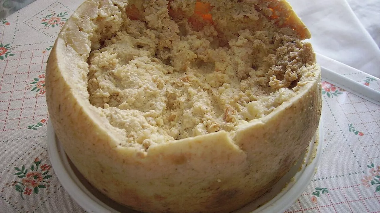 Il Casu Marzu, il Formaggio Sardo con le Larve, entra nel Top Ten dei Cibi Più Disgustosi del Mondo