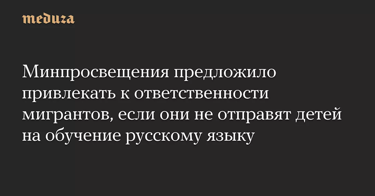 Россия усиливает контроль за обучением детей мигрантов в школах