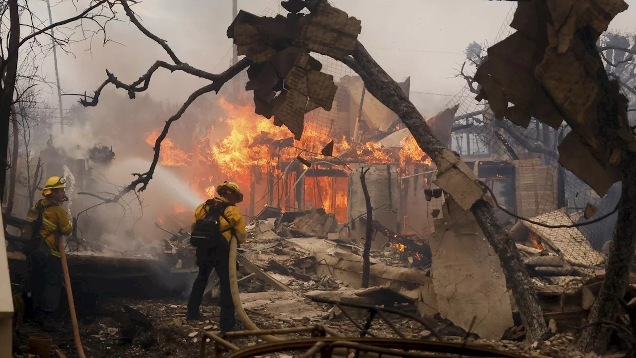 Klimawandel als Faktor bei den Waldbränden in Los Angeles