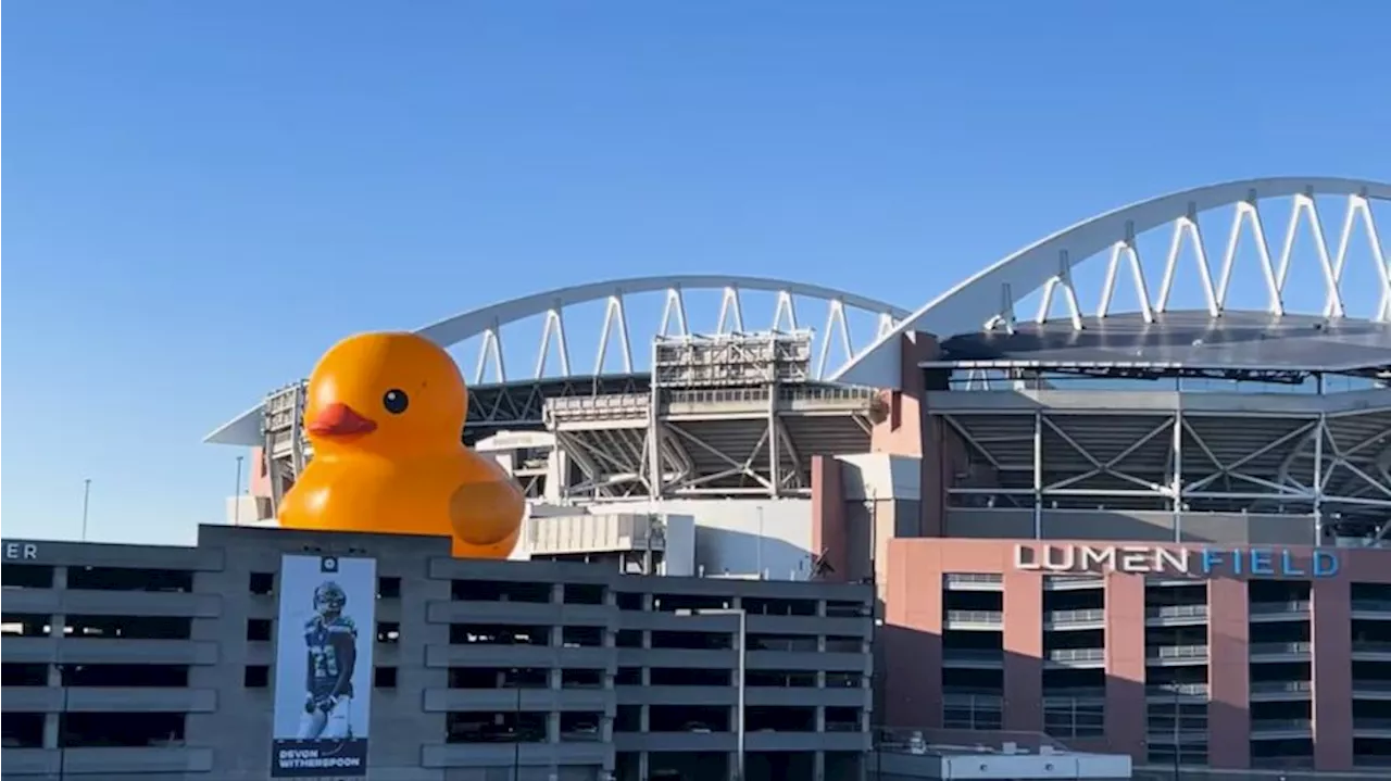 Why is the world's largest rubber duck on Seattle's horizon?