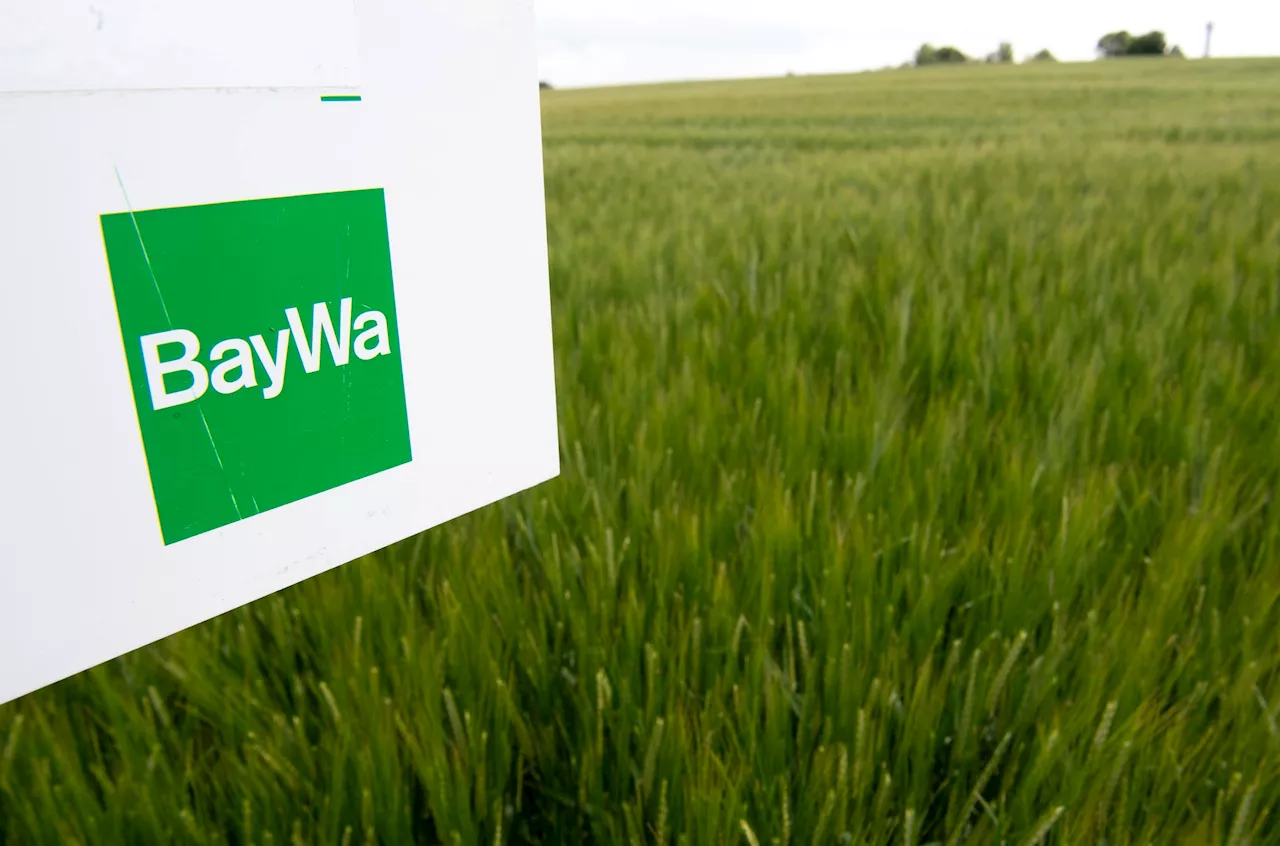 Baywa plant Umbau ohne Gefahr für Aktionäre