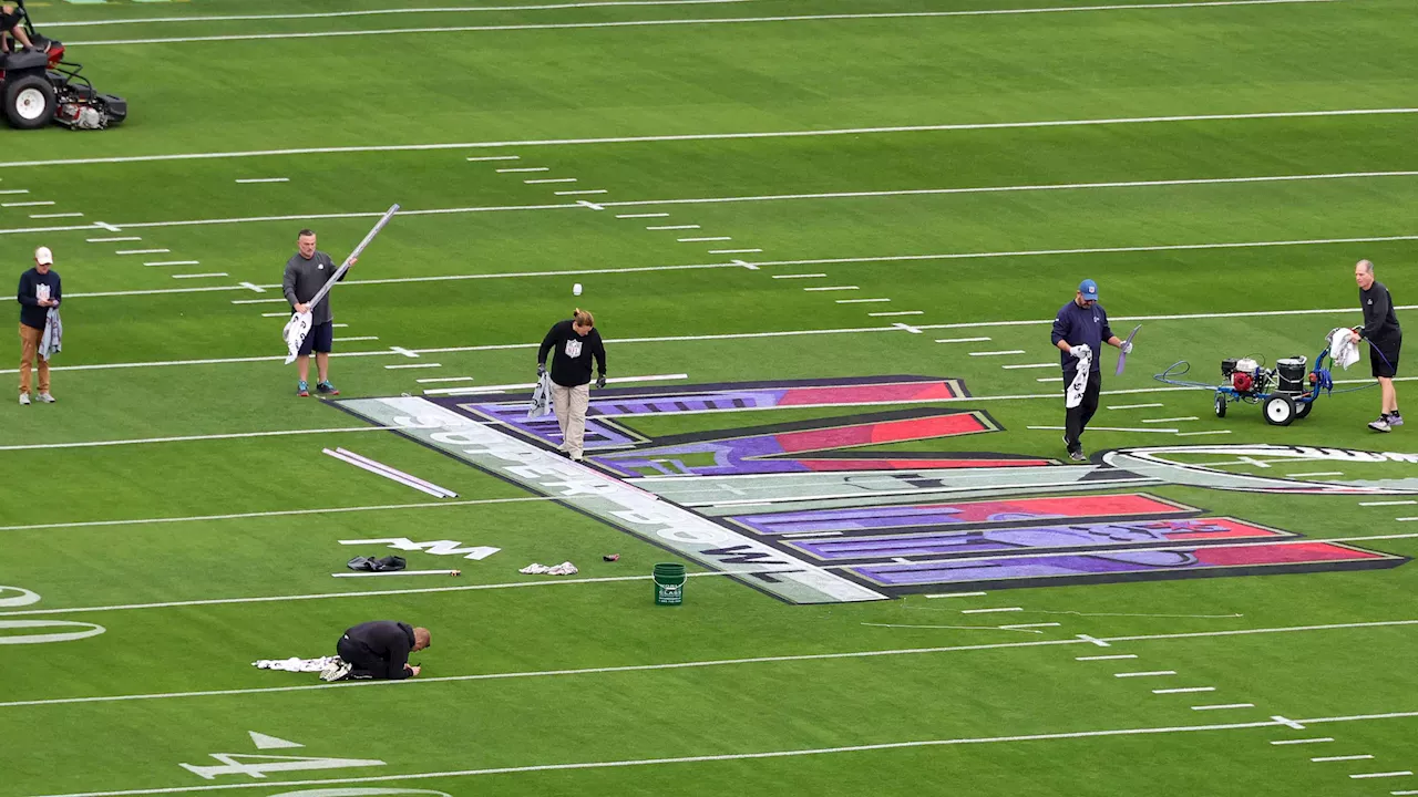 Super Bowl Playing Surfaces: From Grass to Turf and Back Again