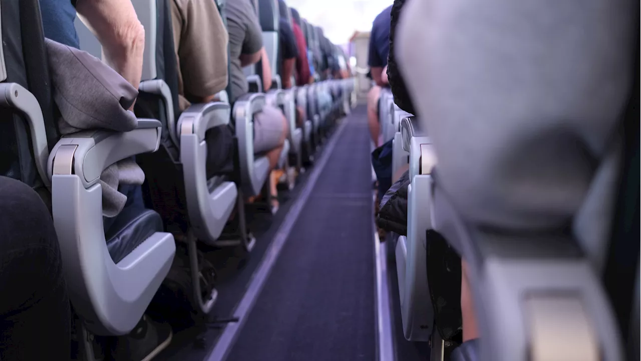 Passenger's 'Row-by-Row' Rule Backfires in Hilarious Aisle Standoff