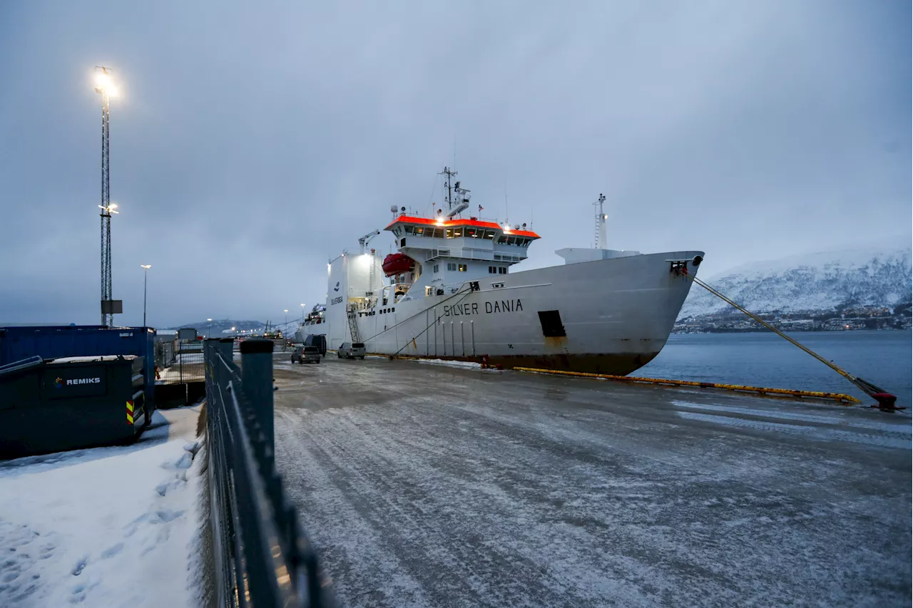 Russian-Crewed Ship Being Searched Amid Suspicions of Baltic Sea Cable Damage