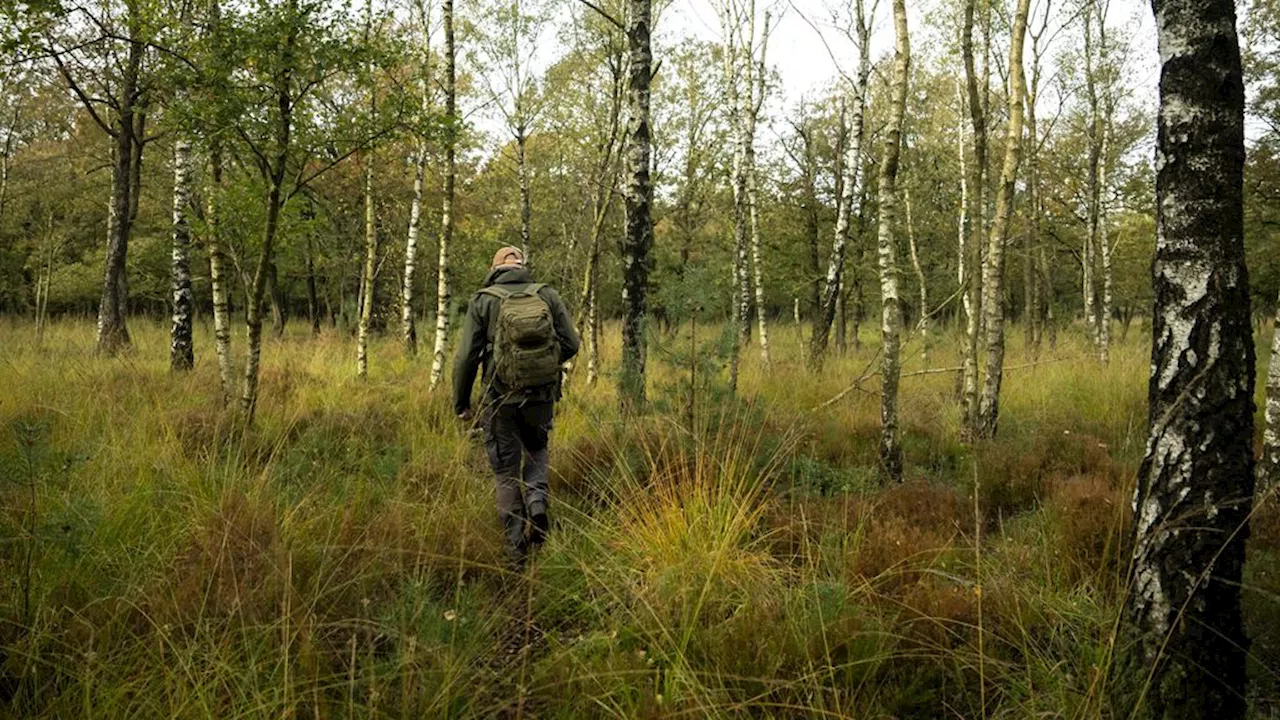 Gelderland wil stikstofzones instellen rond kwetsbare natuur