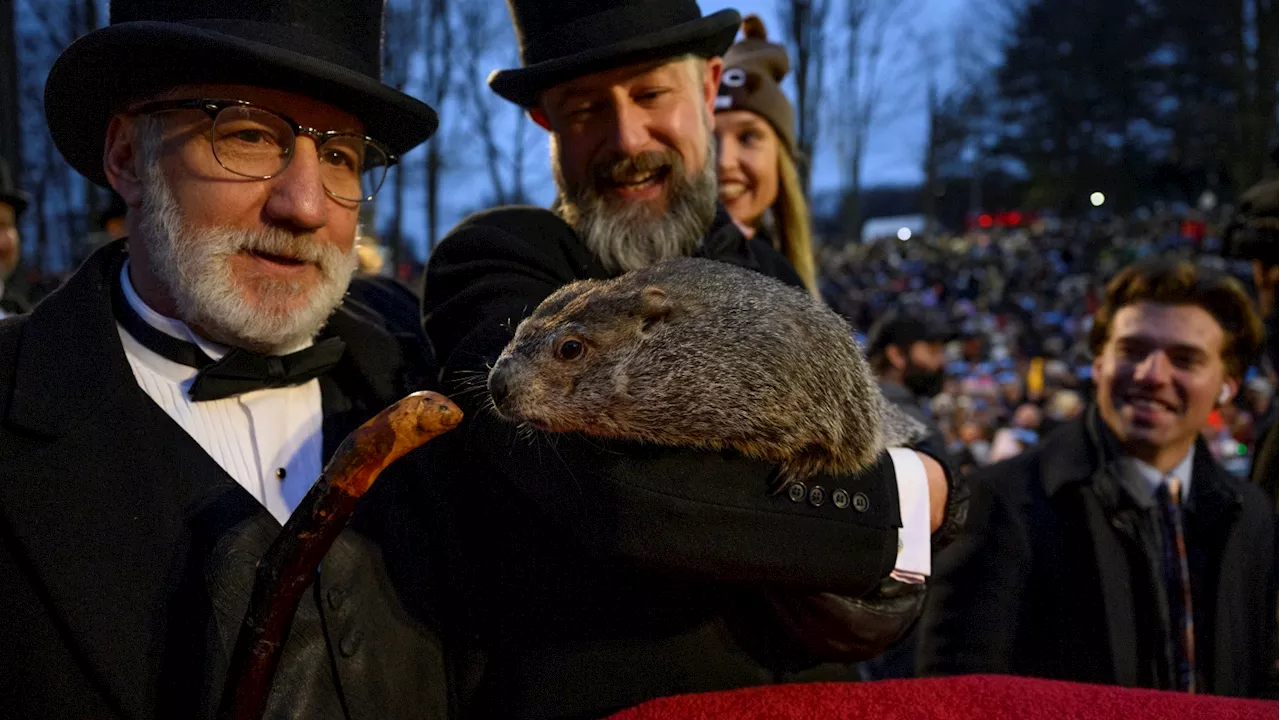 8 things to know about Groundhog Day and its big star, Punxsutawney Phil