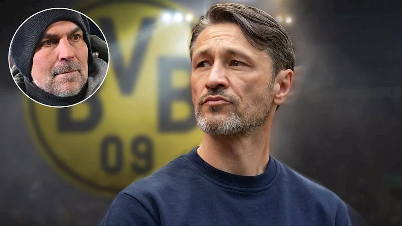 Markus Babbel mit Kritik am BVB: 'Kovac wird es auch wieder nicht sein'