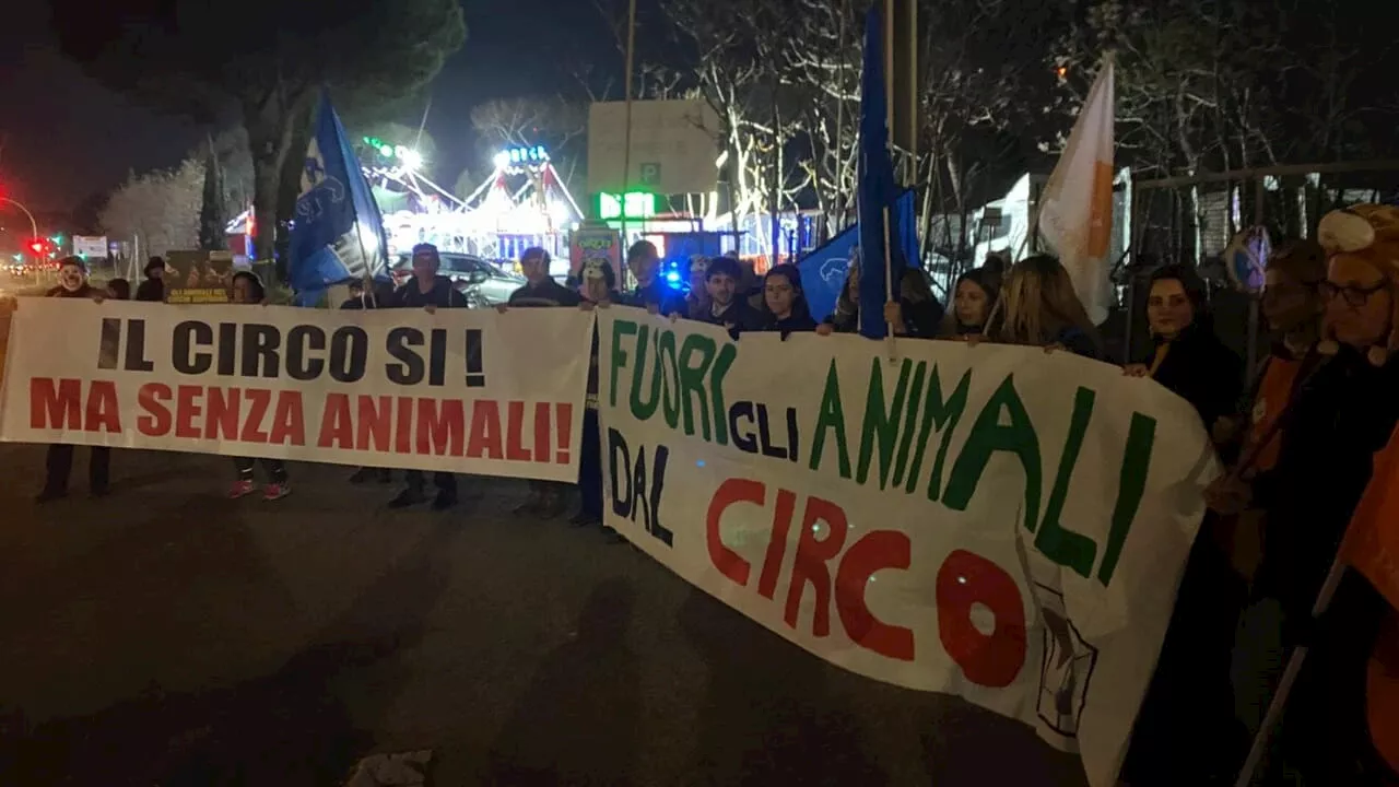 Stop agli animali nei circhi, a Capannelle il sit-in di protesta: 'Diciamo basta a sfruttamento ed umiliazione'