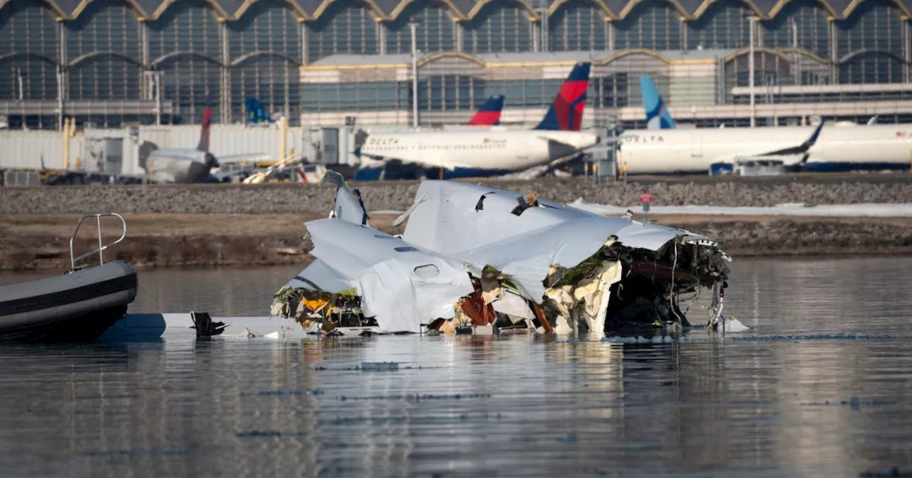 TikTok & Disney stars among American Airline crash victims as last text released