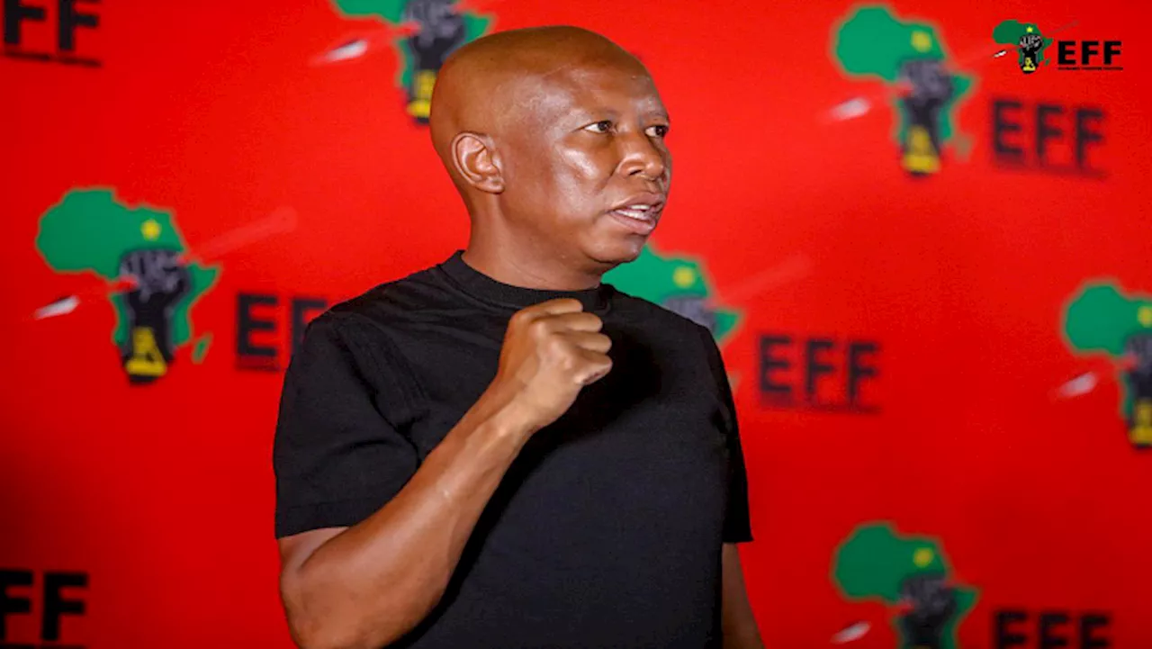 Malema criticises government over SANDF troops in DRC amid casualties - SABC News - Breaking news, special reports, world, business, sport coverage of all South African current events. Africa's news leader.