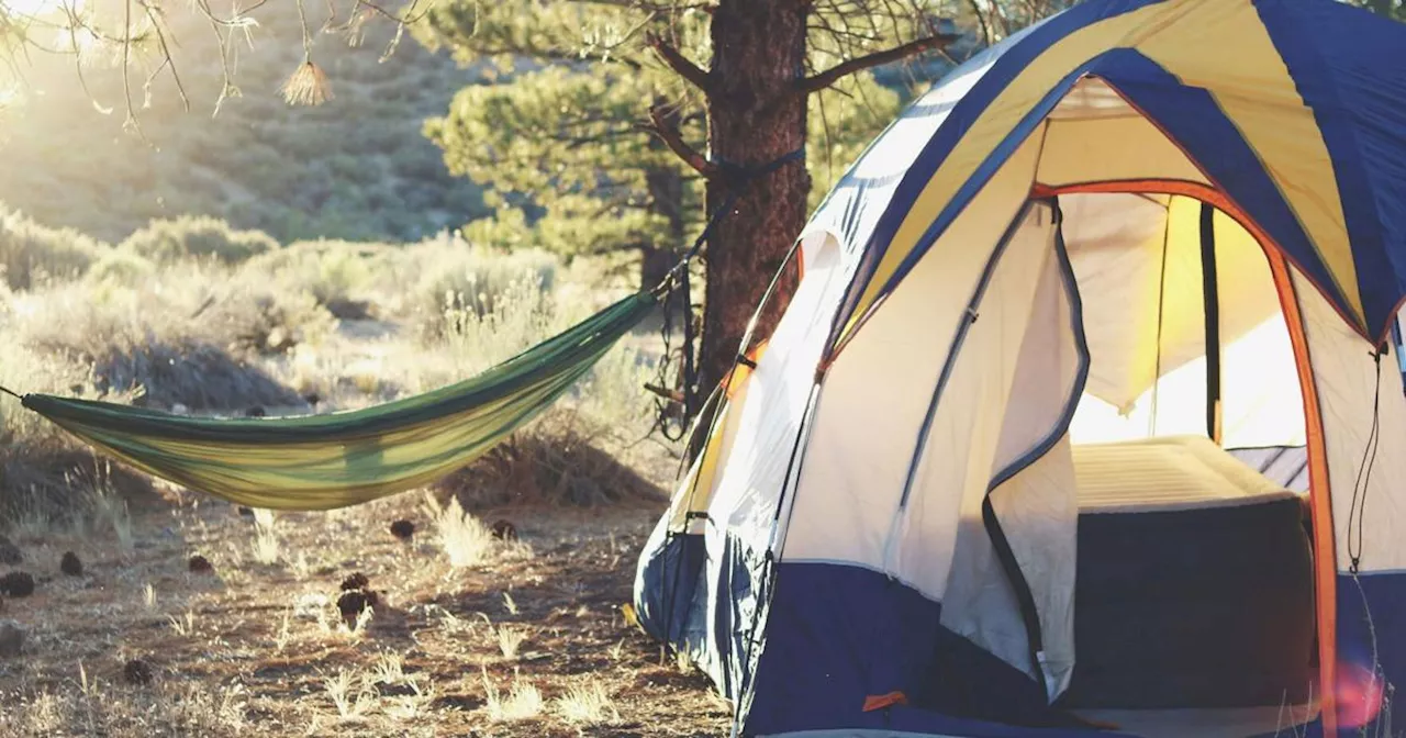 Essential Camping Gadgets for Safety and Comfort