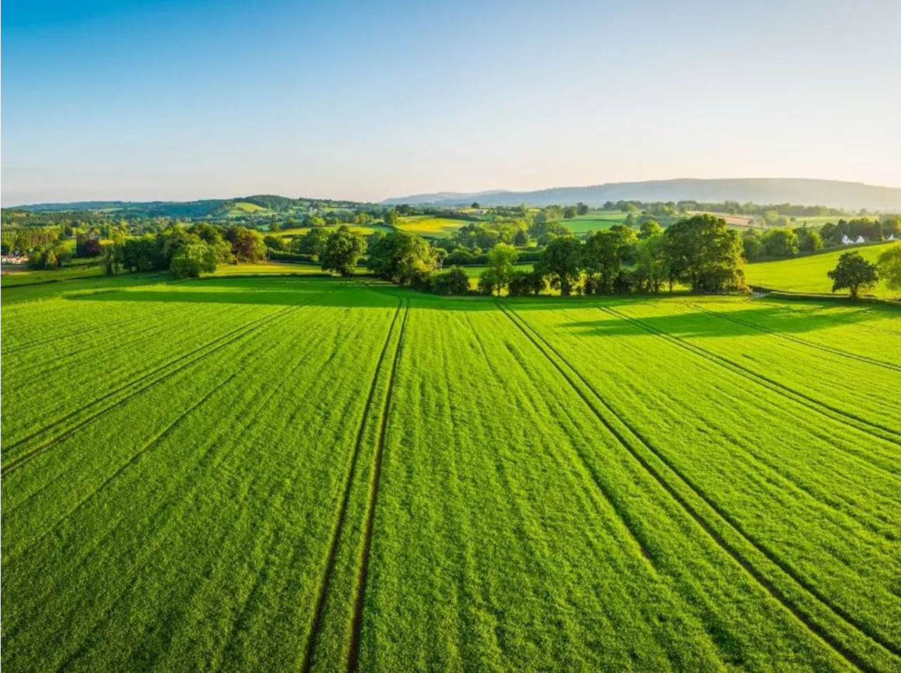 Farmland Market in England Remains Stable Despite Challenges