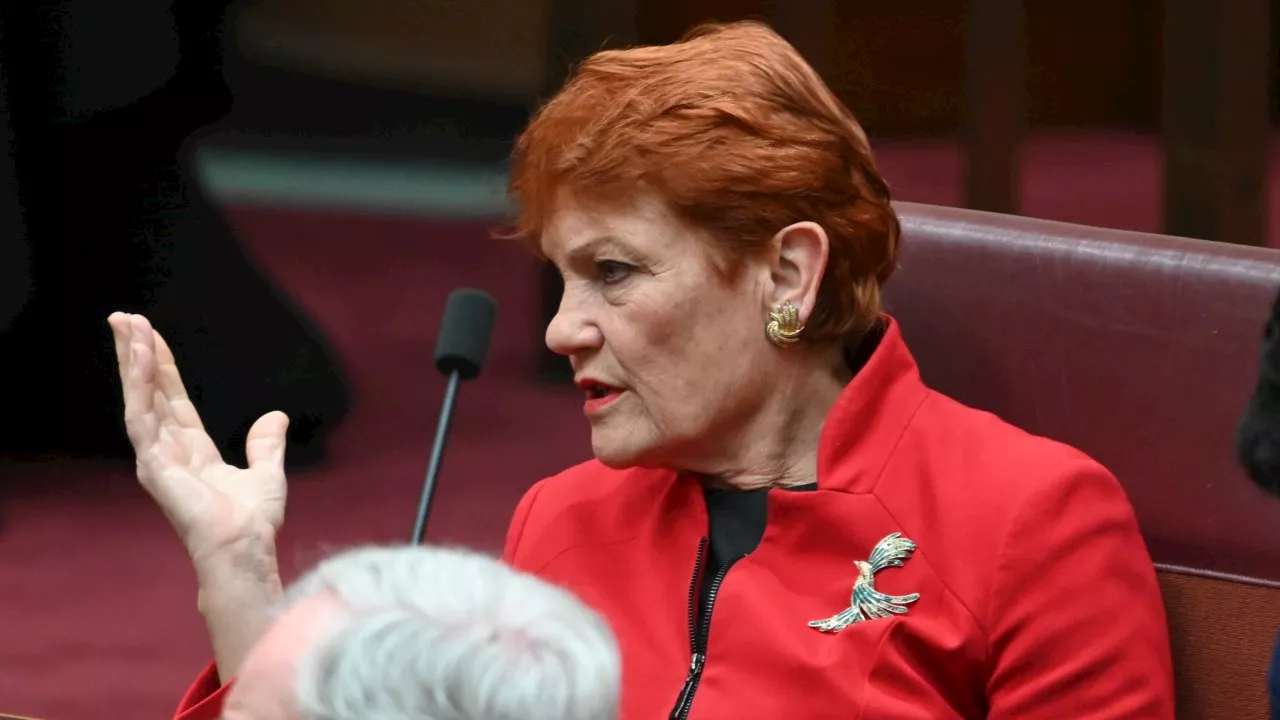 Hanson calls for ‘complete’ ban as Labor announces review into gender treatment for minors