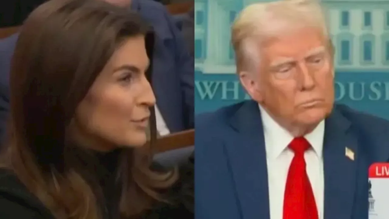 Trump Blasts Kaitlan Collins Over 'Not Smart' Question on DC Plane Crash