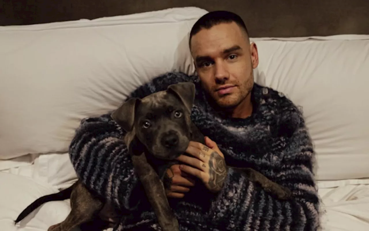 Liam Payne's Family 'Blindsided' by Netflix's Release of Building the Band