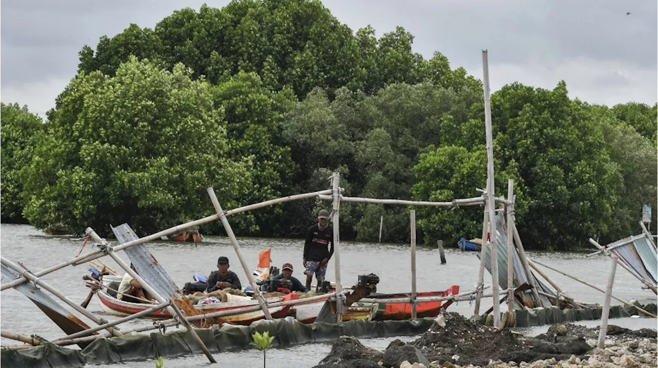 Dua Perusahaan Terindikasi Memiliki SHGB di Lahan Luar Garis Pantai